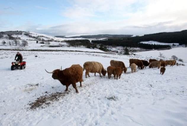 Scottish hill farmers face unique problems which NFUS wants recognised. Picture: PA