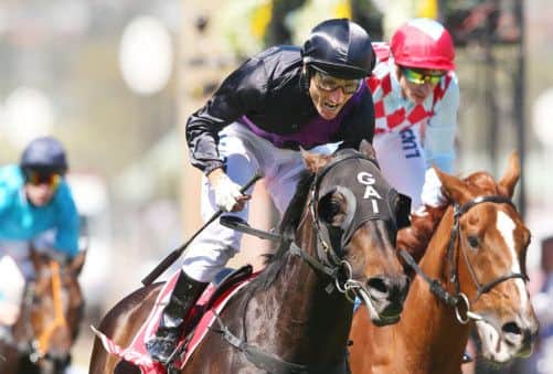 Damien Oliver celebrates as Fiorente pips Red Cadeaux to win the Melbourne Cup Day. Picture: Getty Images