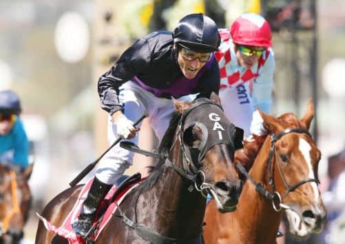 Damien Oliver on Fiorente celebrates after crossing the line to win the Melbourne Cup. Picture: Michael Dodge/Getty