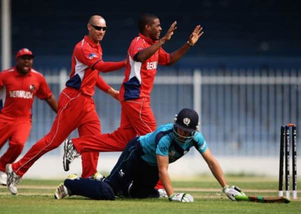 Bermuda celebrate as Calum MacLeod is left grounded after being run out in the first over of Scotlands reply. Picture: Getty
