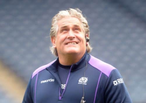 Scotland head coach Scott Johnson. Picture: TSPL