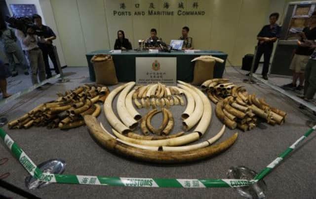 Part of the stock of illegal ivory, more than 30 tons, seized by the Hong Kong authorities over the past five years. Picture: AP