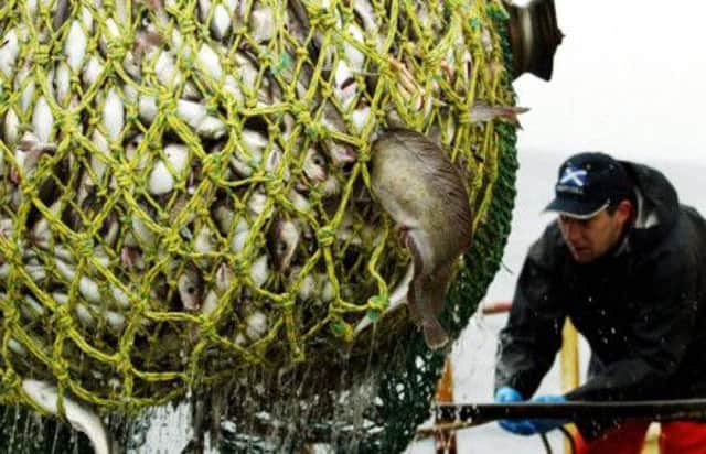 Cod and haddock are landed at Fraserburgh. Picture: PA