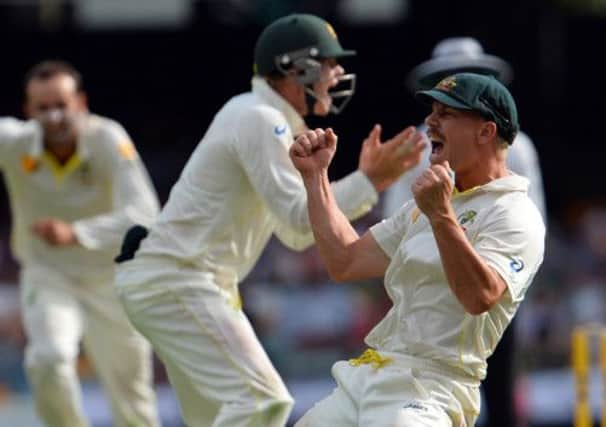 The highly competitive David Warner celebrates the dismissal of England's Matt Prior. Picture: Getty