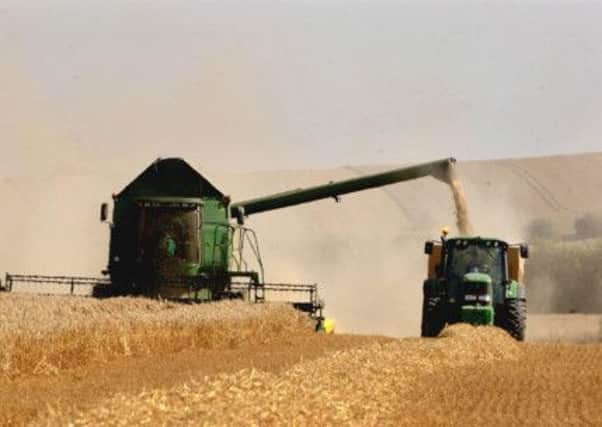 Harvest time requires all hands on deck. Picture: PA