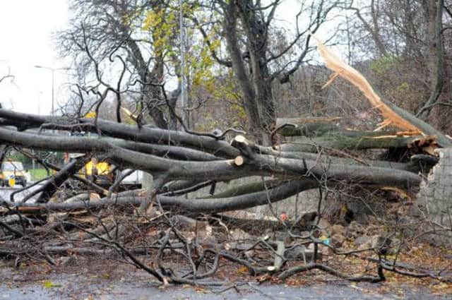 Police Scotland said there was a high risk of disruption on many roads due to flooding and the possibility of falling trees and other debris. Picture: Ian Rutherford