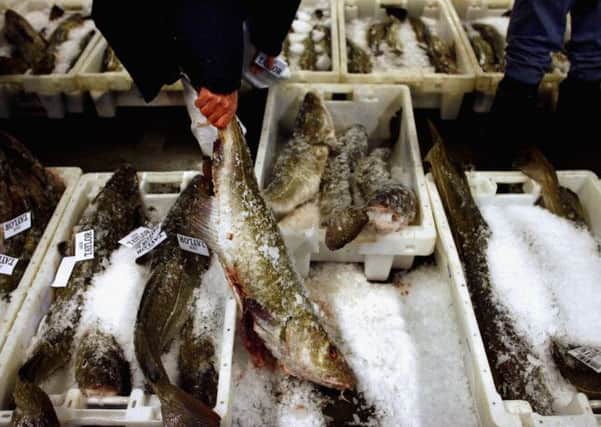Richard Lochhead has vowed to fight any cuts imposed on Scottish fishermen during crucial European Fisheries Council negotiations. Picture: Getty
