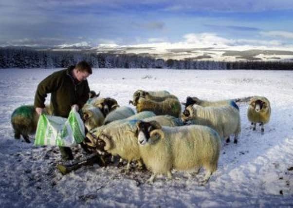 Scottish farmers are lobbying hard to have the split in payments changed. Picture: PA