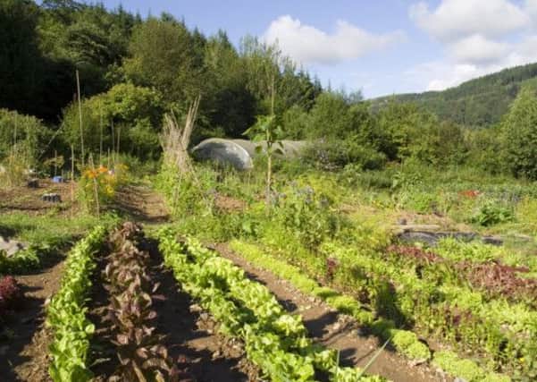 A new book shows how you can make money from gardening