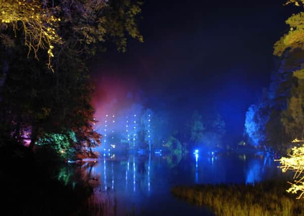 Faskally Wood, during the Enchanted Forest event. Picture: Ian Rutherford