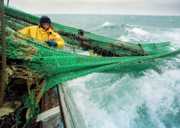 The fishing industry faces an increasing raft of regulations. Picture: Getty/AFP