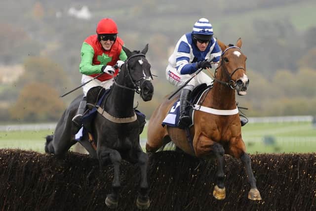 Taquin Du Seuil will take on Oscar Whisky tomorrow. Picture: Getty