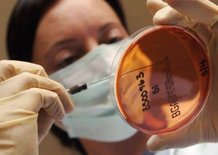 Small businesses have injected more than 7 million pounds into research and development projects. Picture: PA