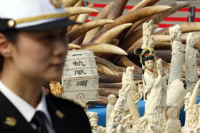 A police officer stands guard over the ivory before it was destoyed. Picture: Reuters