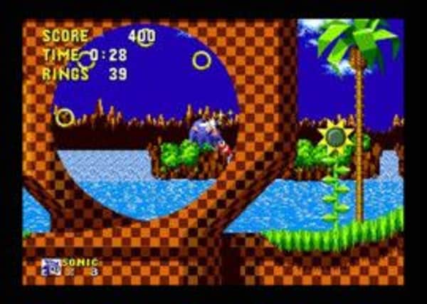 Sonic in action. Picture: Contributed