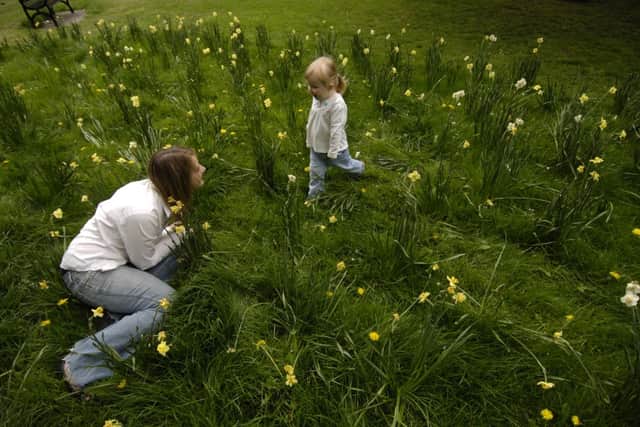 Free nursery care is to be extended in Scotland. Picture: TSPL