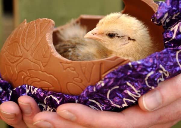 Easter is here, while Spring has not yet sprung. Picture: TSPL