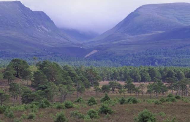 View of Lairig Ghru from Rothiemurchus. Picture: PA