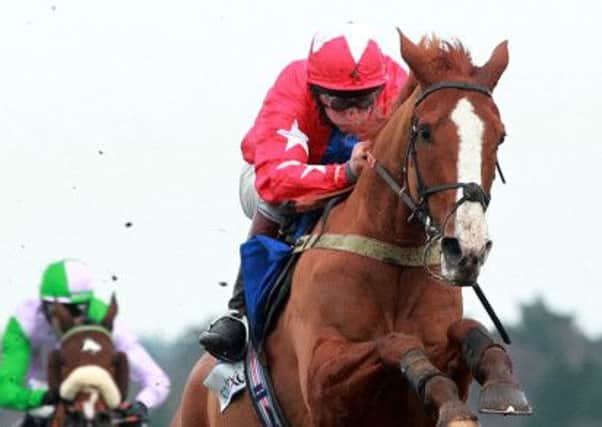 Hot chestnut: Sire De Grugy clears another hurdle on his way to victory. Picture: PA