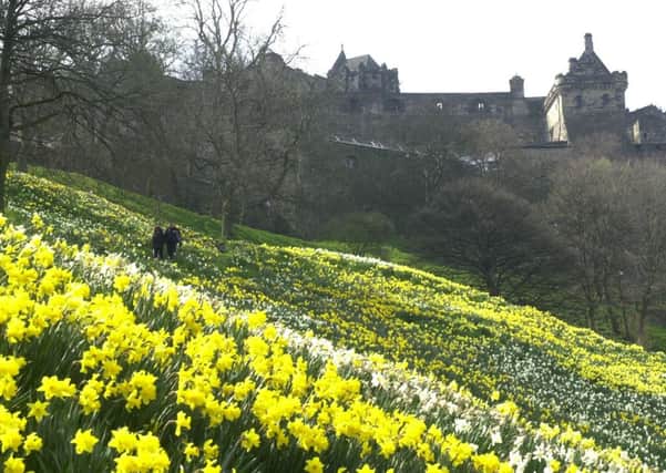 Spring looks set to appear soon. Picture: TSPL
