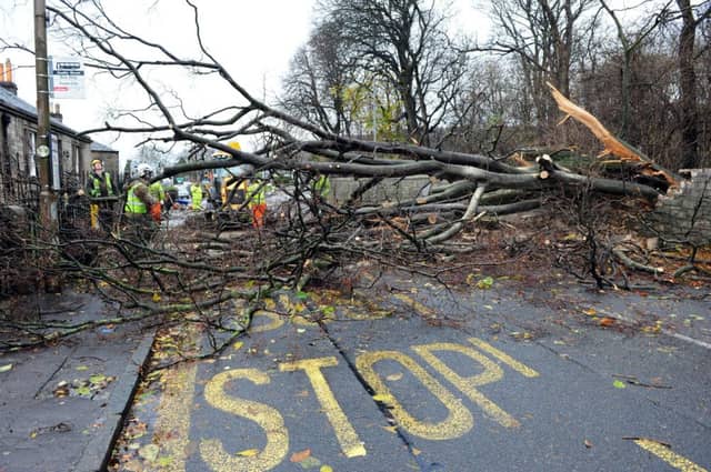 Storm damage from fallen tress can quickly be cleared by the emergency services. Picture: Ian Rutherford