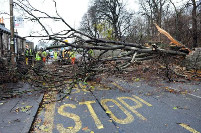 Storm damage from fallen tress can quickly be cleared by the emergency services. Picture: Ian Rutherford