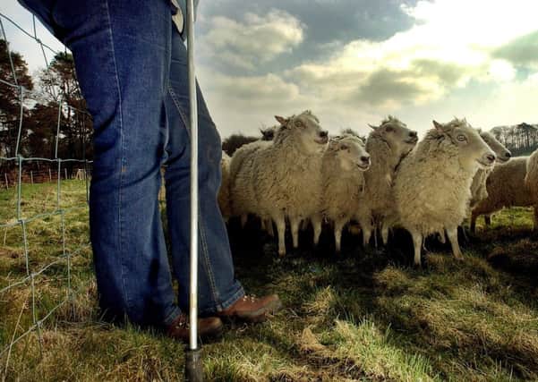 Many farmers face a tough time under current subsidy plans. Picture: Jon Savage