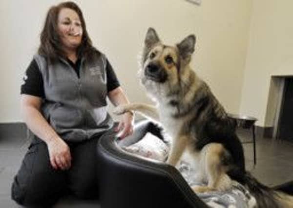 Angela McCreadie with Layla, a three-year-old Utonagan, at Clyde Valley Pet Retreat. Photograph: Donald MacLeod