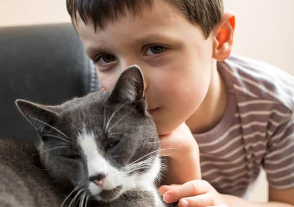 Billy the cat has been a huge help to autistic boy Fraser.