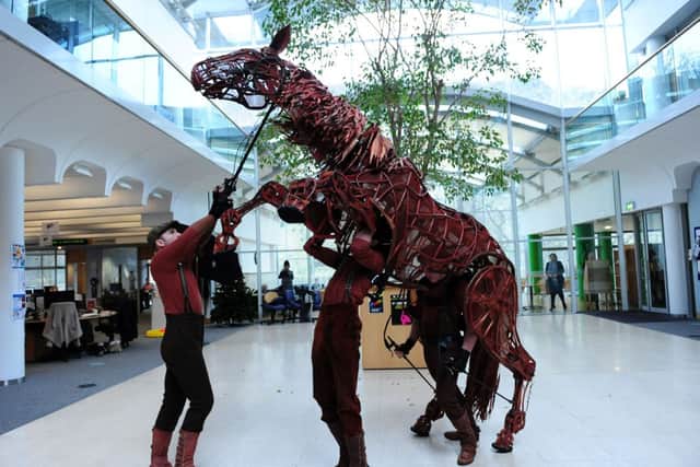 War Horse star 'Joey' visits The Scotsman offices. Picture: Ian Rutherford