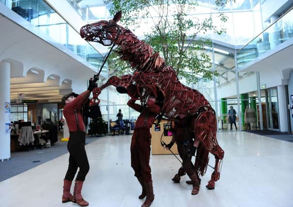 War Horse star 'Joey' visits The Scotsman offices. Picture: Ian Rutherford