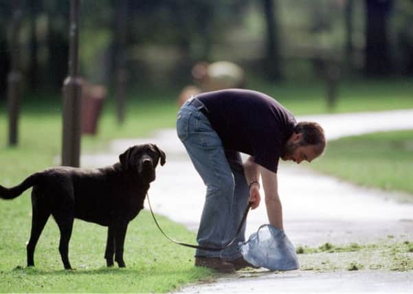 Dog owners in Dundee will be subject to a new actioln plan from the city council to stem instances of dog fouling. Picture: TSPL