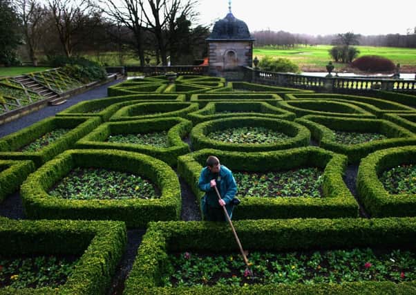 Much like a garden, investments need regular maintenance. Picture: Getty