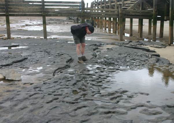 The footprints were found in silt on the beach at Happisburgh on the Norfolk coast. Picture: PA
