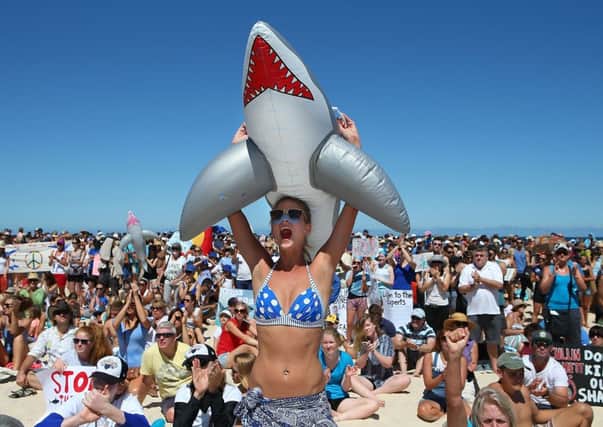A woman shows her support at a protest against the Australian government's shark-culling policy which has been introduced after a rise in attacks. Picture: Getty Images