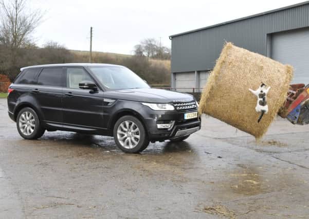 Range Rover Sport has the kind of rugged looks that even a farmyard cat will climb hay bales to get a better view of