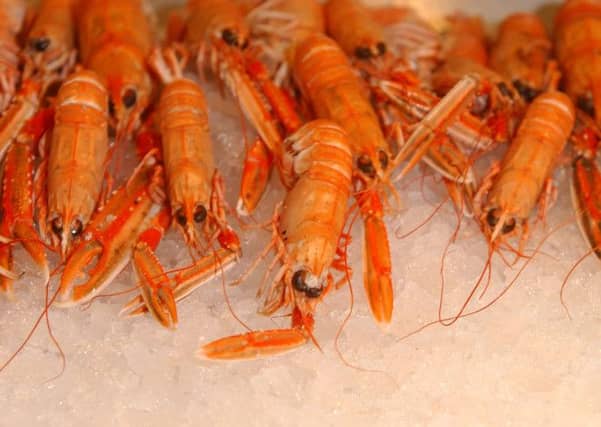 Scottish seafood is renowned for its quality. Picture: Neil Hanna