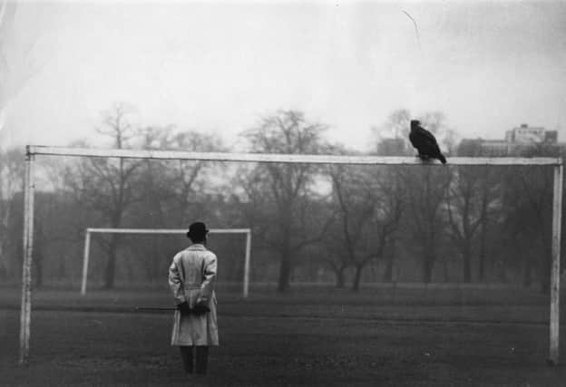 On this day in 1965, Goldie the golden eagle escaped from London Zoo and settled in Regents Park for 11 days. Picture: Getty
