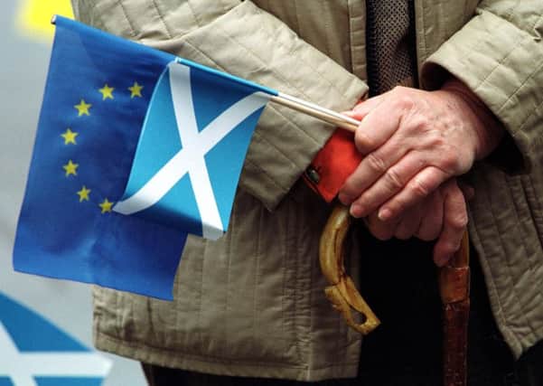 Upcoming elections for the European Parliament could provide insight for the Scottish independence referendum. Picture: TSPL