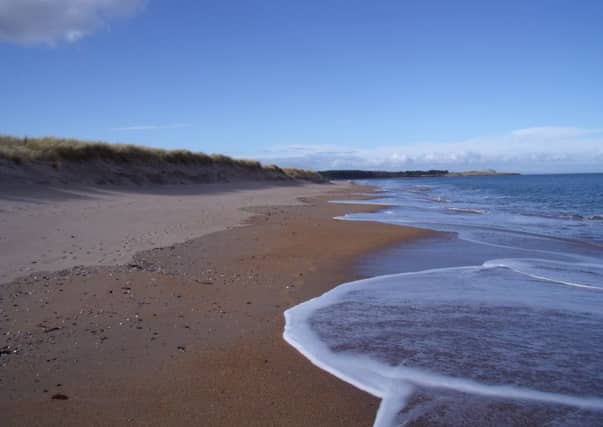Belhaven Bay. Picture: Nick Drainey