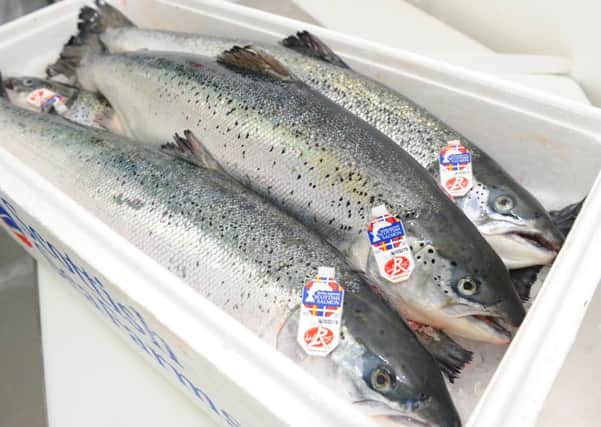 Scottish farmed salmon exports are set to top 200 million pounds. Picture: Robert Perry