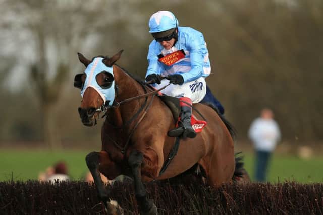 Goulanes ridden by Richard Johnson jumps the last fence to win The Betfred Midlands Grand National. Picture: PA