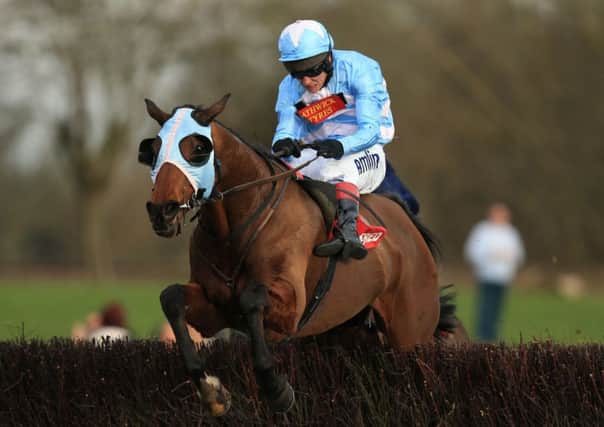 Goulanes ridden by Richard Johnson jumps the last fence to win The Betfred Midlands Grand National. Picture: PA