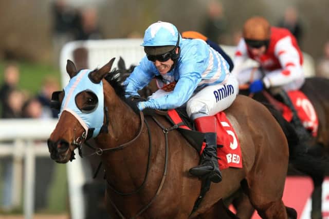 Goulanes and Richard Johnson close in on victory at Uttoxeter. Picture: PA
