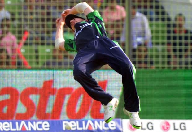 Irelands Alex Cusack makes a spectacular attempt to take a catch. Picture: AFP