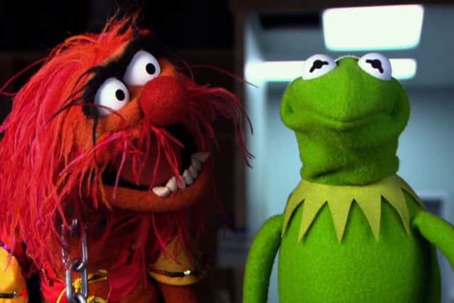 Muppets Most Wanted. Picture: Contributed