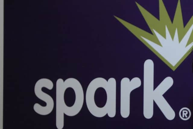 SPARK Energy saw an improvement in performance. Picture: digitalpic