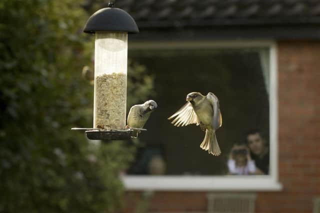 House sparrows were on top, while chaffinch, starling, blackbird and blue tit all held on to their places in the top five