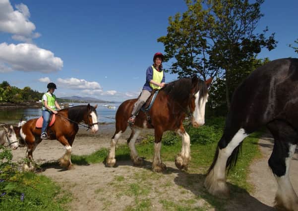 More work is needed to develop suitable saddles for horses and their riders, according to researchers. Picture: TSPL