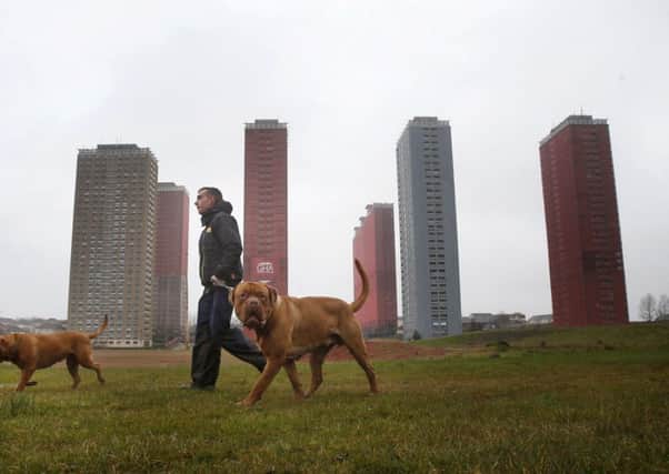 A man walks his dog by the Red Road flats in Glasgow. Picture: PA